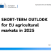 DG AGRI mercados agrícolas UE 2025
