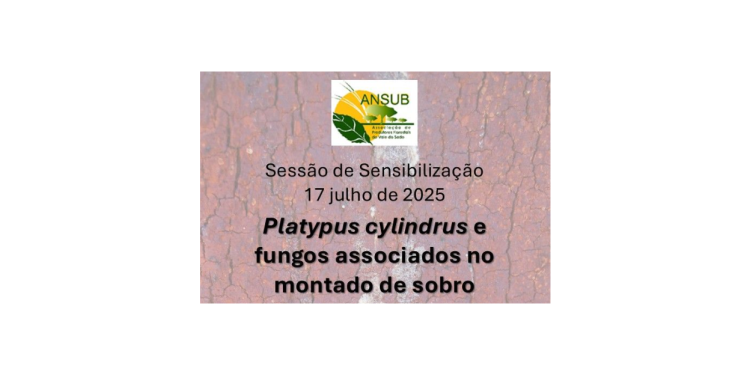 Sessão de Sensibilização "𝘗𝘭𝘢𝘵𝘺𝘱𝘶𝘴 𝘤𝘺𝘭𝘪𝘯𝘥𝘳𝘶𝘴 e fungos associados no montado de sobro"