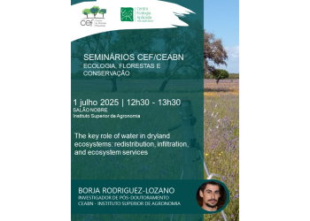The key role of water in dryland ecosystems