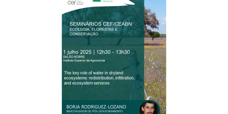 The key role of water in dryland ecosystems