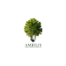ambilis