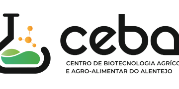 cebal logo