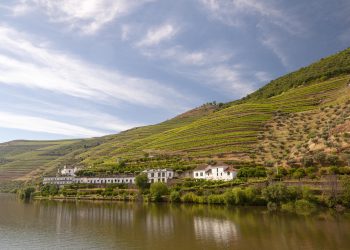 rio com videiras e vinha no douro