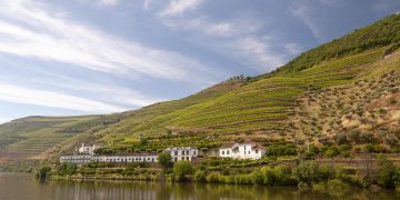 rio com videiras e vinha no douro