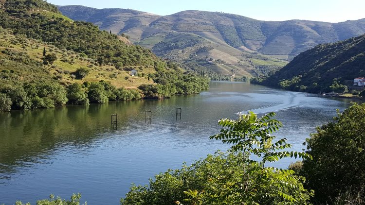 rio douro