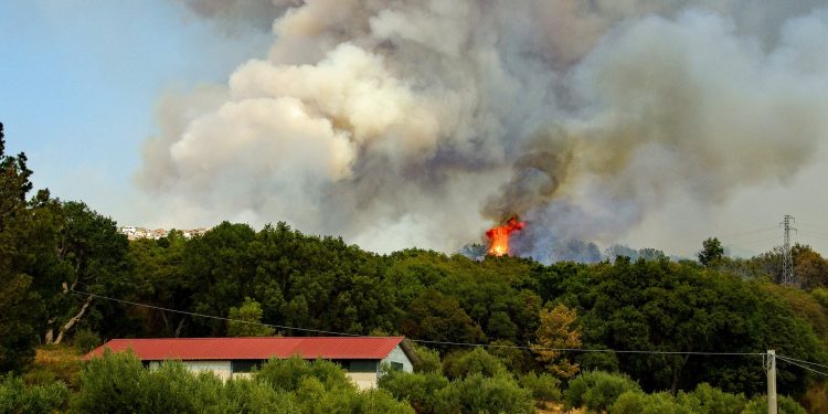 fogo chamas armazém