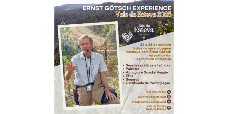 gotsch experience VdE 2025