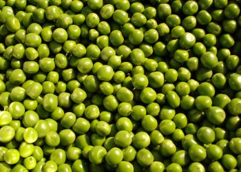 ervilhas verdes