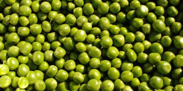 ervilhas verdes