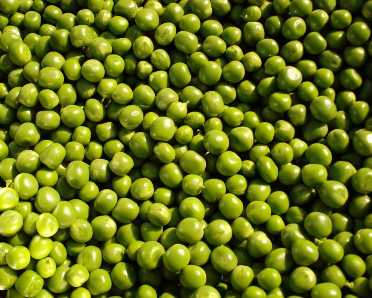 ervilhas verdes