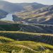 vinha no rio douro