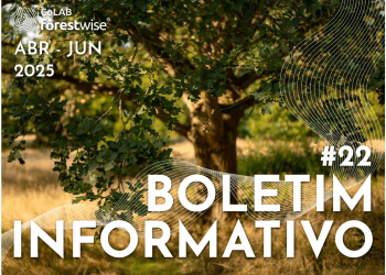 Boletim Informativo #22 do CoLAB ForestWISE-min