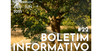 Boletim Informativo #22 do CoLAB ForestWISE-min