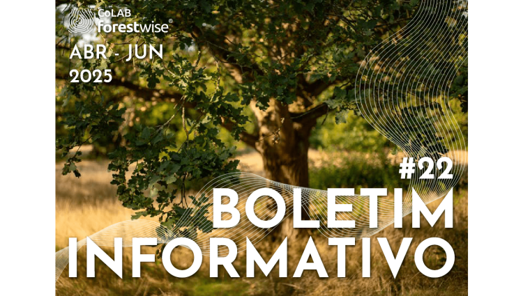 Boletim Informativo #22 do CoLAB ForestWISE-min