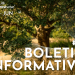 Boletim Informativo #22 do CoLAB ForestWISE-min