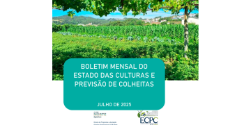 Relatório do Estado das Culturas de julho