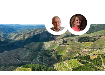 Agricultura Portuguesa decoupling