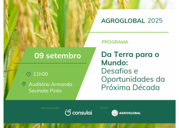Desafios e Oportunidades da Próxima Década