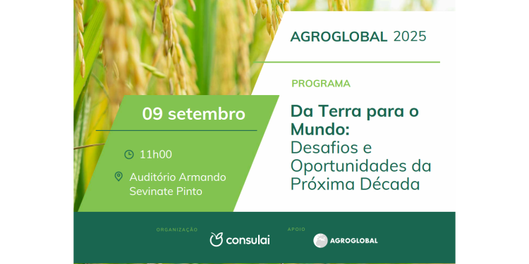 Desafios e Oportunidades da Próxima Década