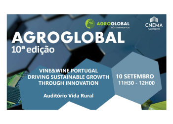 sustainable growth through innovation