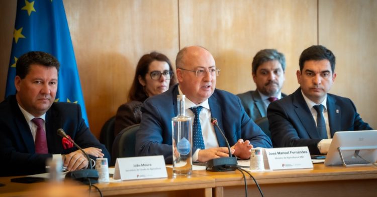 Jose Fernandes Cedida