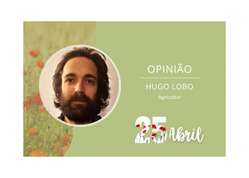 hugo lobo