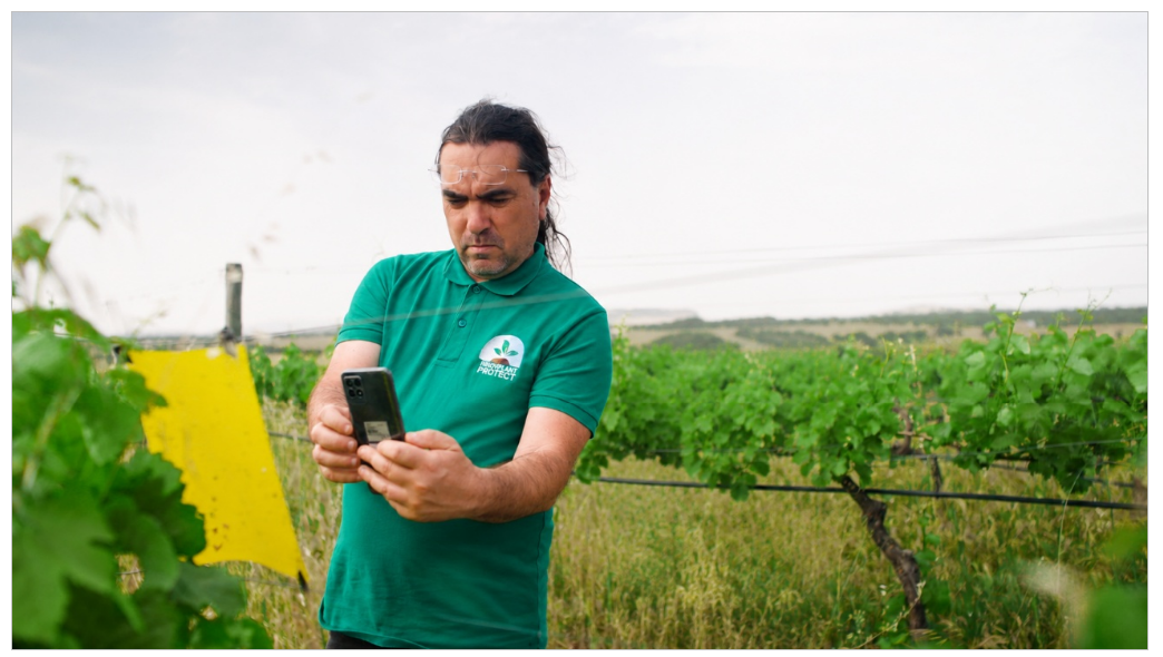 Captura de imagens de armadilhas em vinha para monitorização automática de pragas através da iCountPests