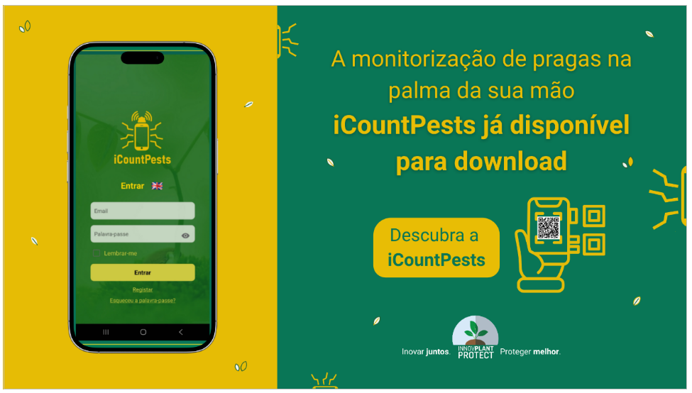 Interface da aplicação iCountPests, que permite a contagem automática de pragas a partir de imagens captadas no campo