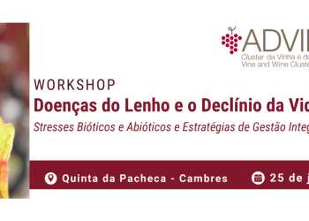 workshop advid lenho