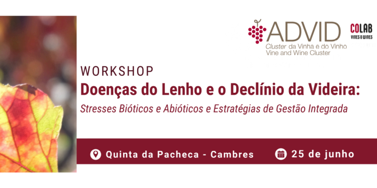 workshop advid lenho