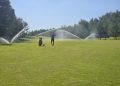 A golfer swings on a well-maintained green while sprinklers provide water on a sunny afternoon.